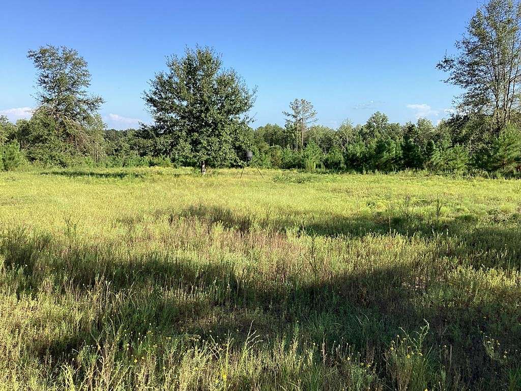 10 Acres of Land for Sale in Luverne, Alabama