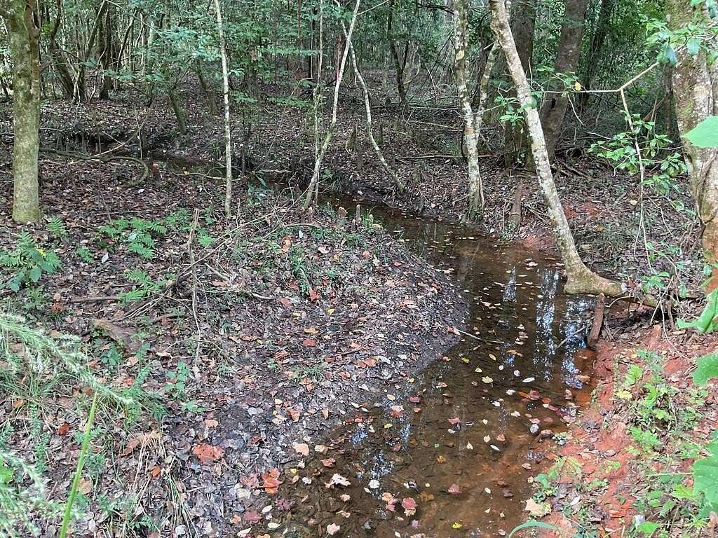 10 Acres of Recreational & Residential Land for Sale in Luverne, Alabama