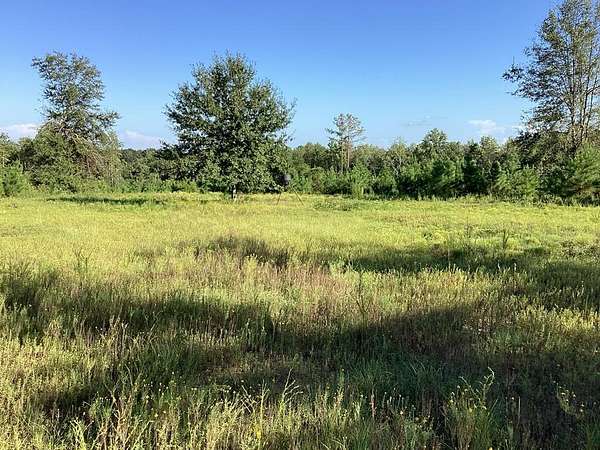 10 Acres of Recreational & Residential Land for Sale in Luverne, Alabama