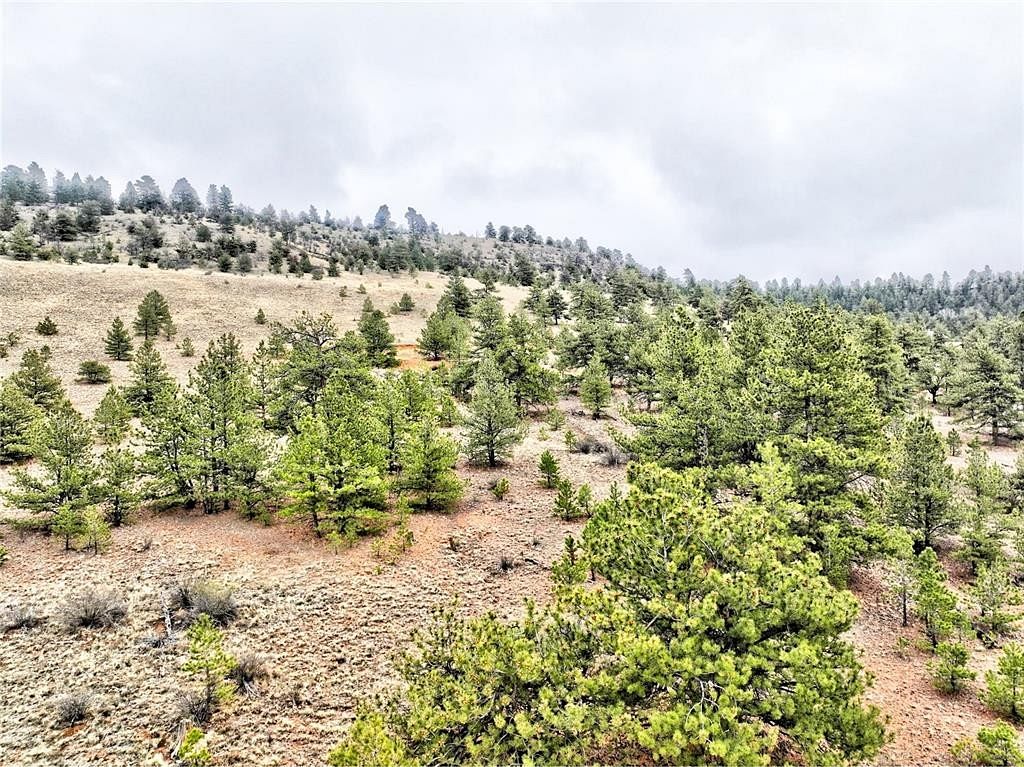 4.5 Acres of Residential Land for Sale in Hartsel, Colorado