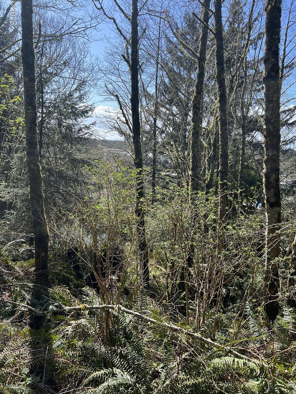 5.3 Acres of Residential Land for Sale in Pacific City, Oregon