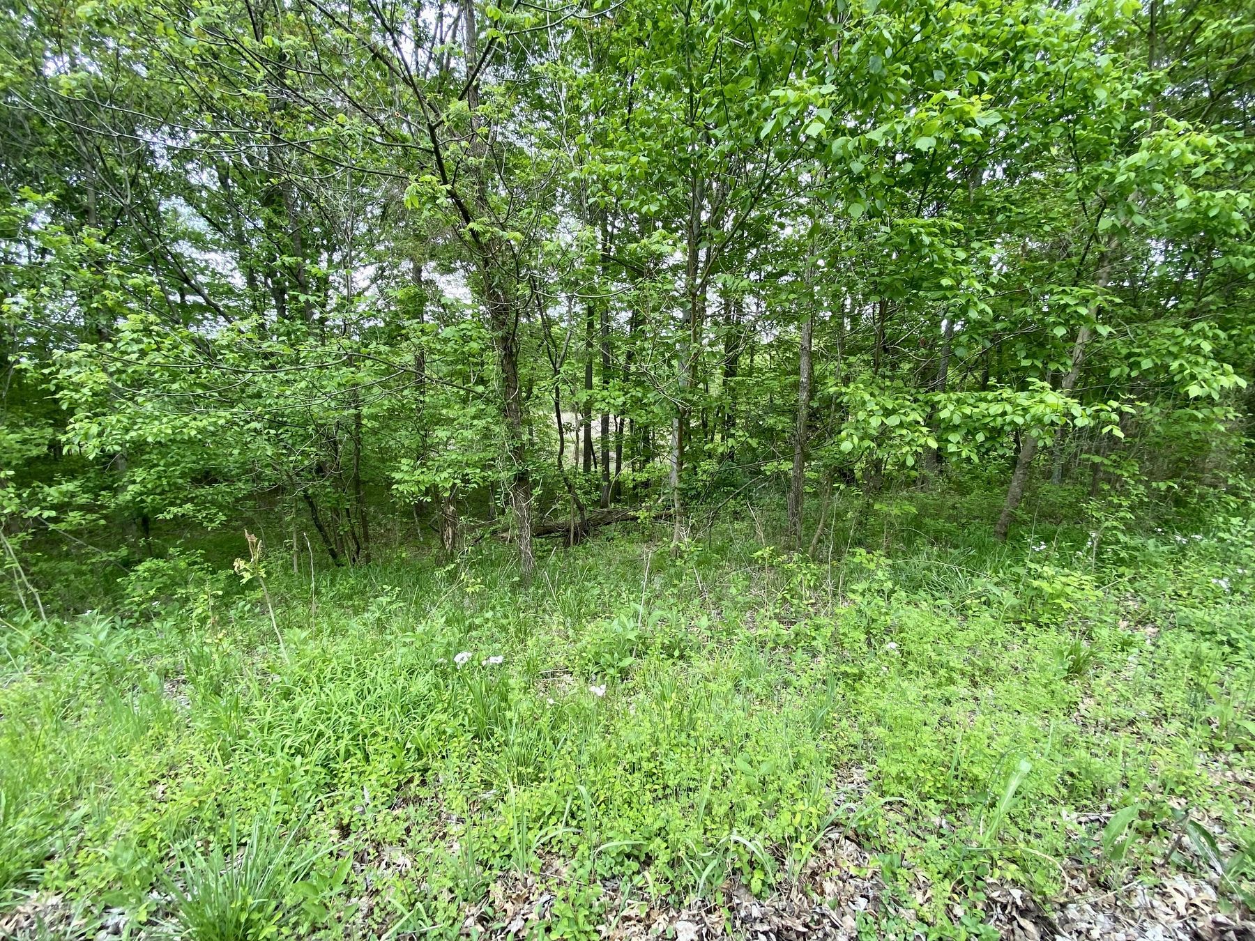 0.42 Acres of Land for Sale in Caneyville, Kentucky
