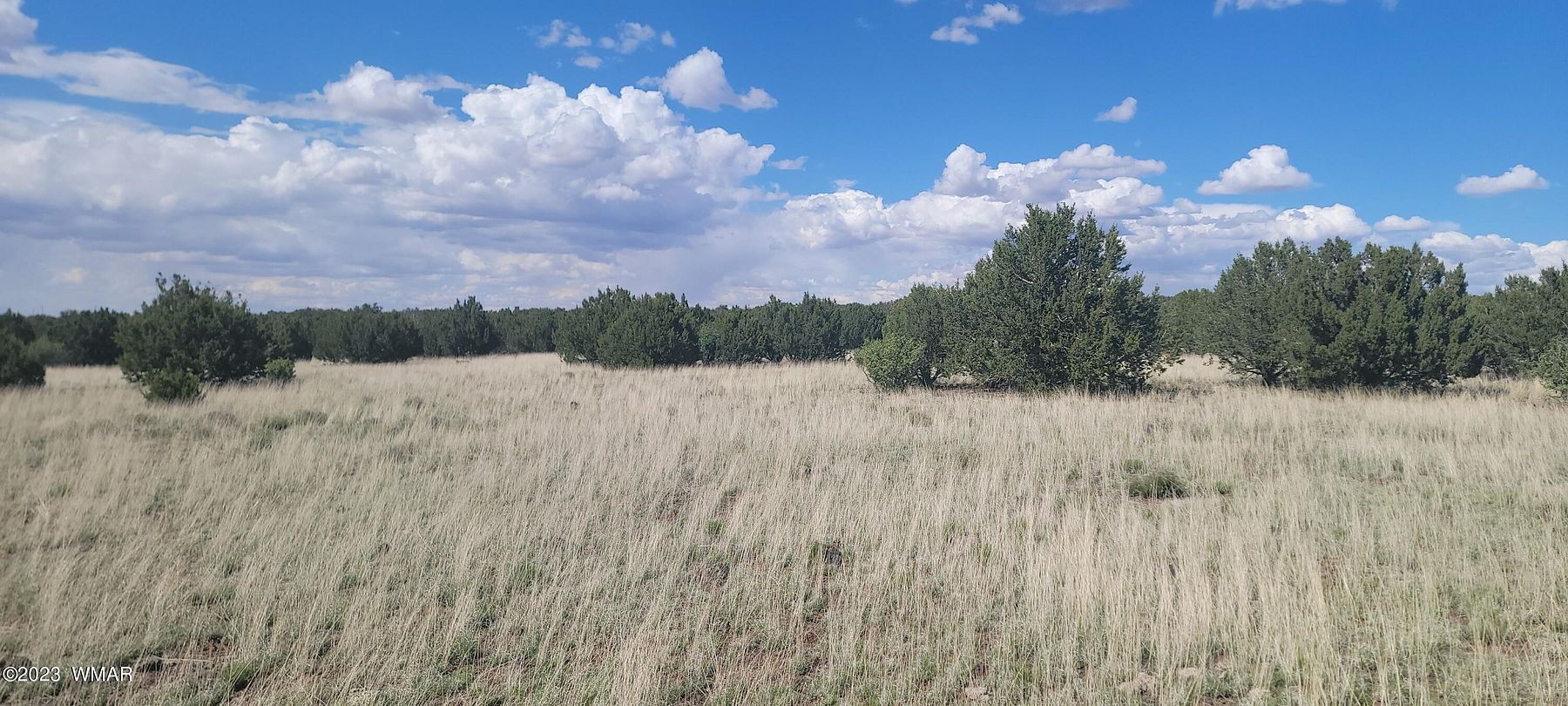 2.5 Acres of Residential Land for Sale in Show Low, Arizona
