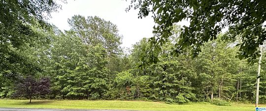 1.9 Acres of Residential Land for Sale in Sylacauga, Alabama