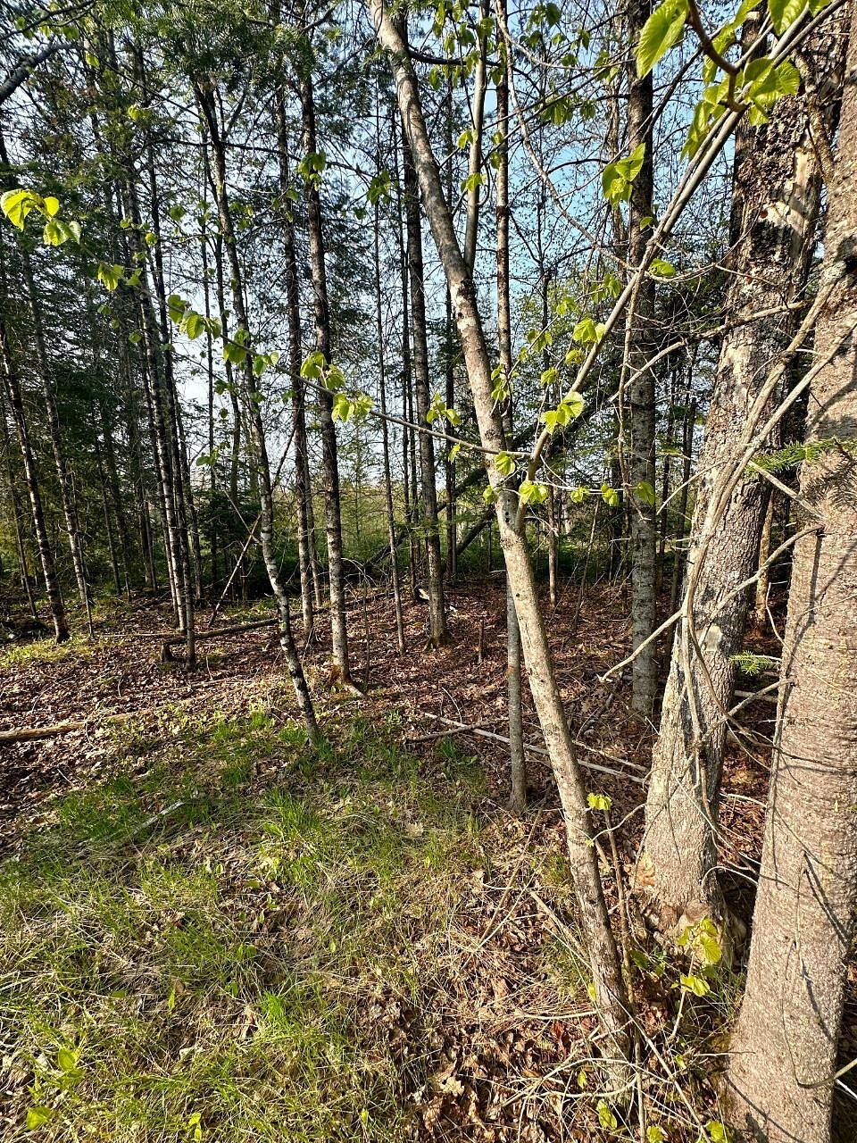 1.3 Acres of Land for Sale in Mercer, Wisconsin