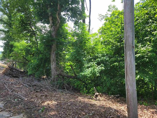 0.56 Acres of Residential Land for Sale in Sugar Tree, Tennessee