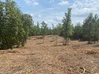 0.5 Acres of Residential Land for Sale in Abbeville, Alabama