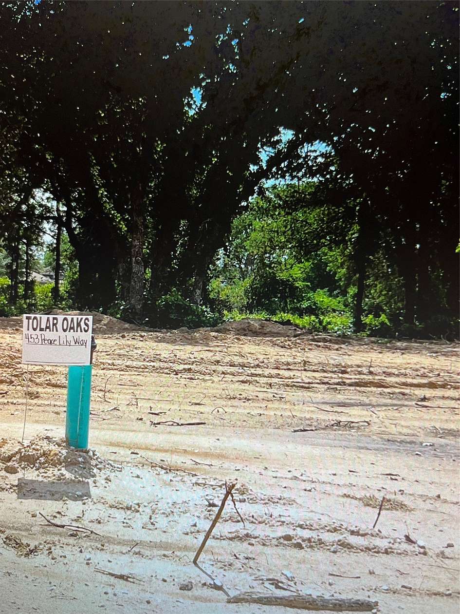 0.26 Acres of Land for Sale in Tolar, Texas
