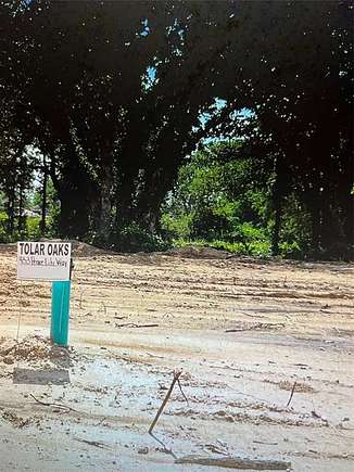 0.26 Acres of Land for Sale in Tolar, Texas