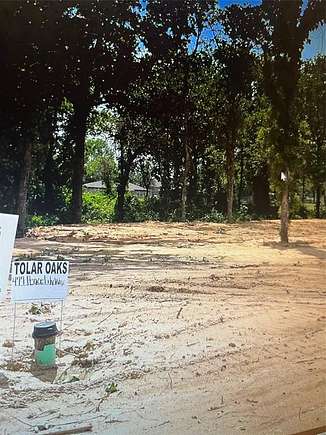 0.26 Acres of Land for Sale in Tolar, Texas