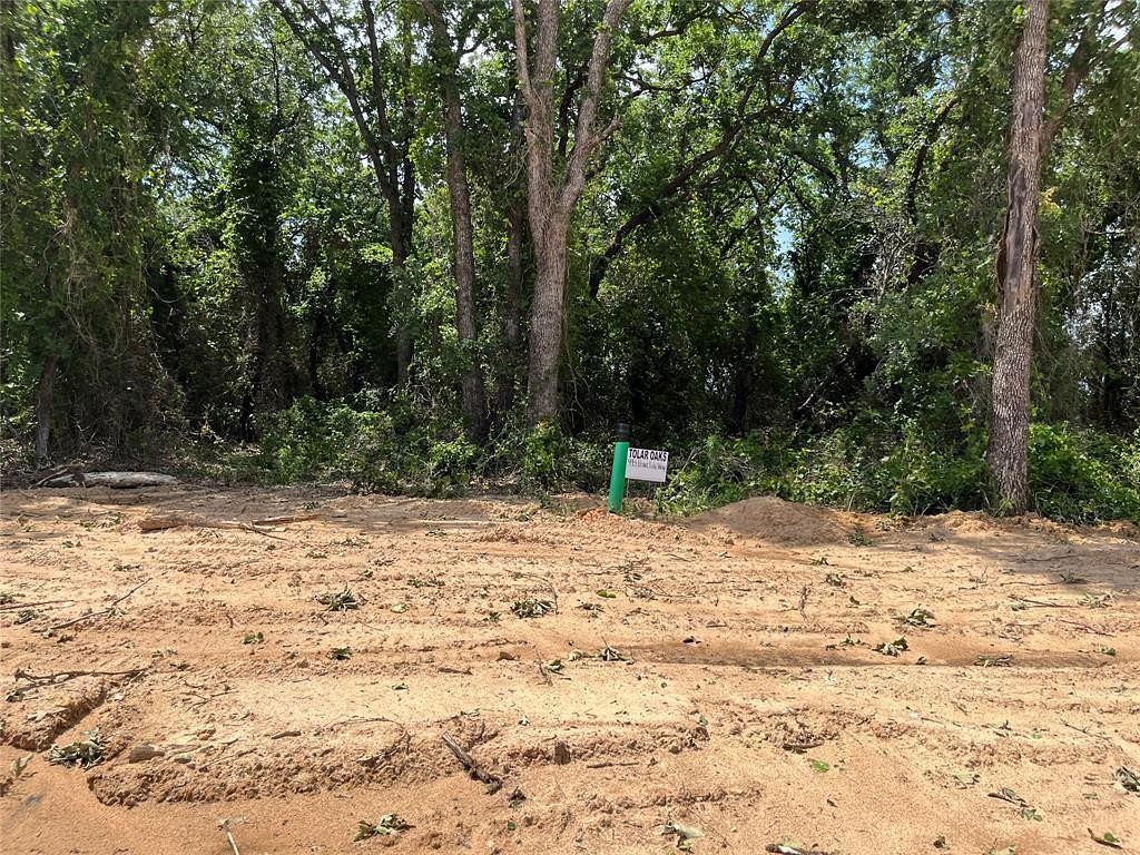 0.29 Acres of Residential Land for Sale in Tolar, Texas