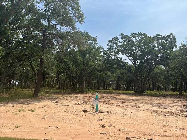 0.21 Acres of Land for Sale in Tolar, Texas