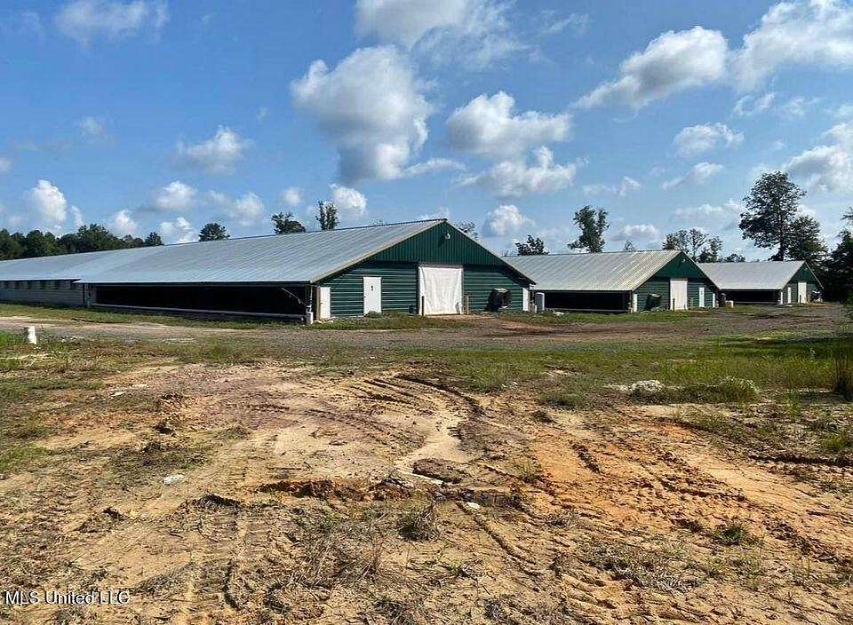 36.5 Acres of Agricultural Land for Sale in Decatur, Mississippi