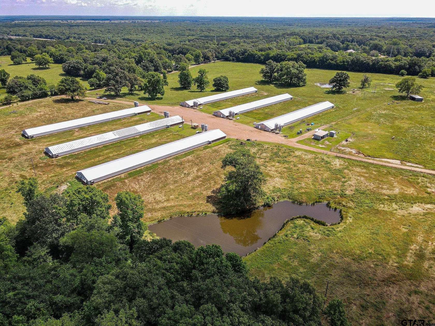 20 Acres of Land for Sale in Omaha, Texas