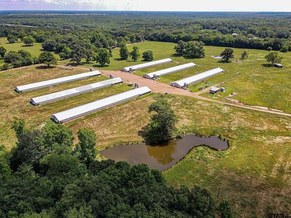 20 Acres of Land for Sale in Omaha, Texas