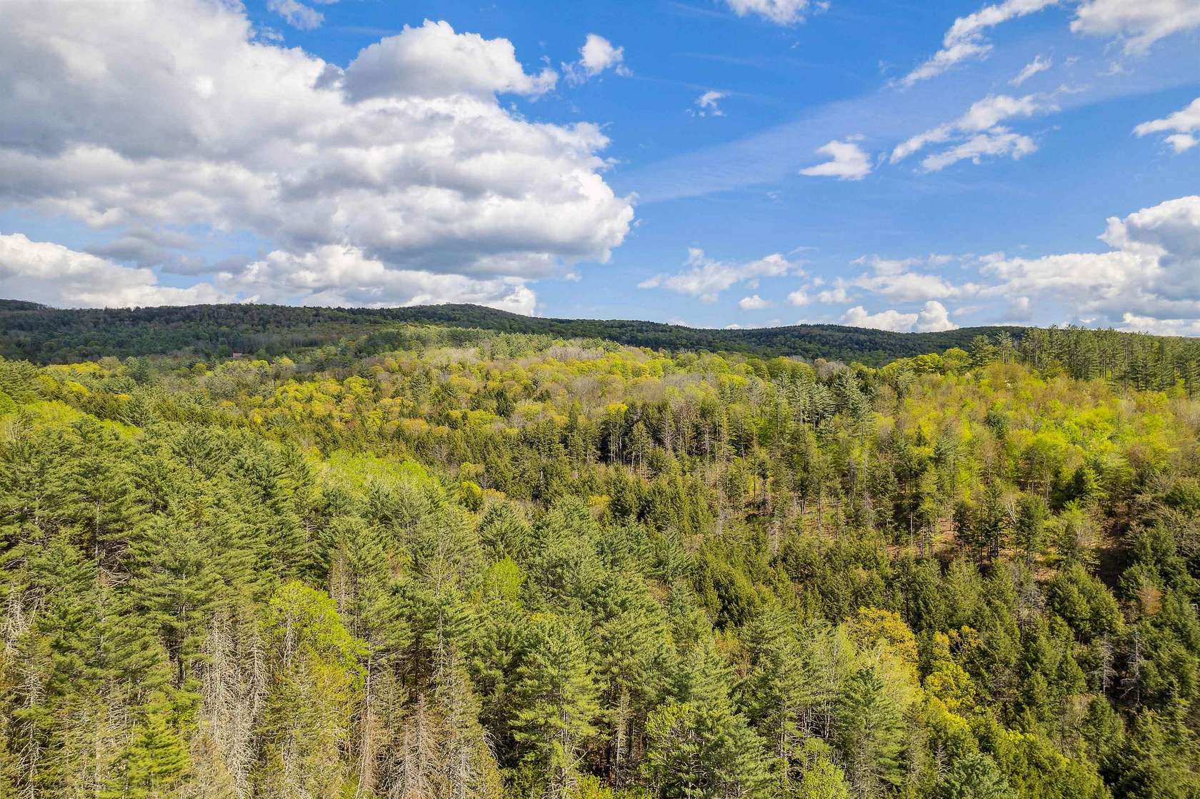 59.6 Acres of Land for Sale in Randolph, Vermont