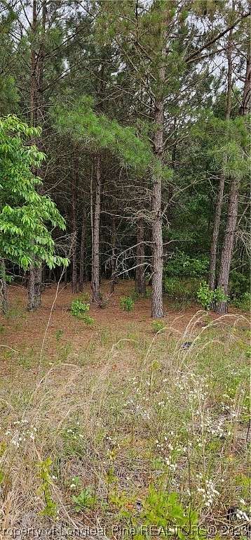 8 Acres of Residential Land for Sale in Red Springs, North Carolina