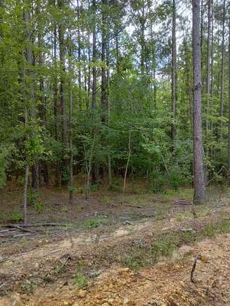 3.5 Acres of Residential Land for Sale in Glenwood, Arkansas