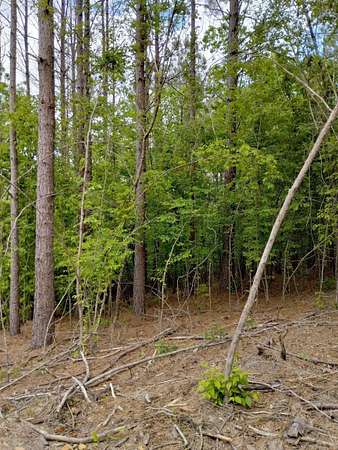 3.7 Acres of Residential Land for Sale in Glenwood, Arkansas