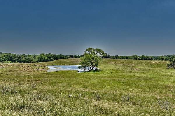 99.1 Acres of Land for Sale in La Grange, Texas