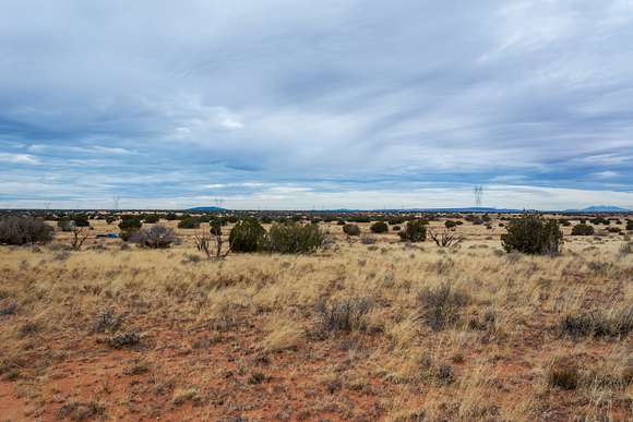 11.5 Acres of Recreational Land for Sale in Heber, Arizona