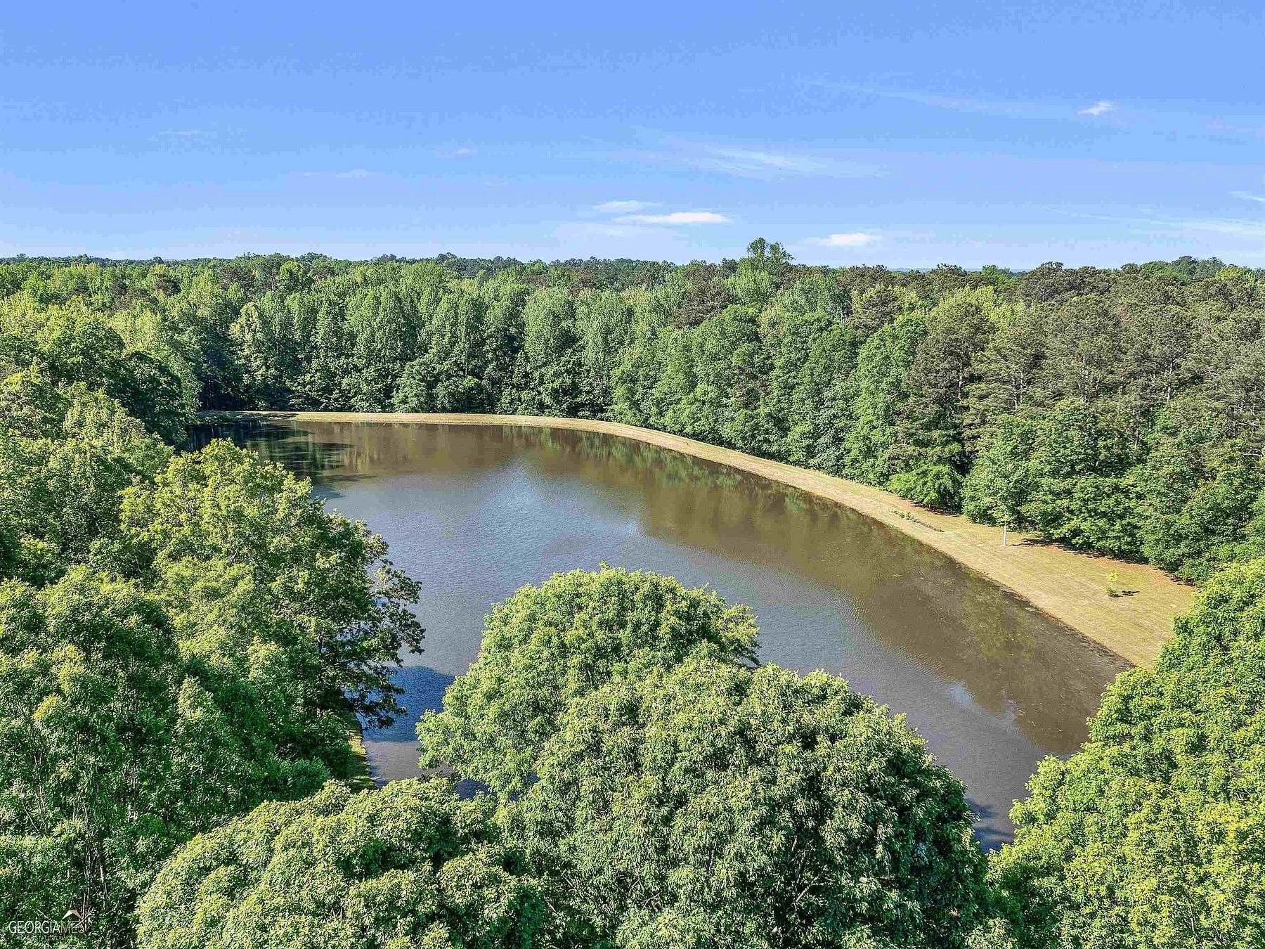 25.5 Acres of Land for Sale in Hampton, Georgia