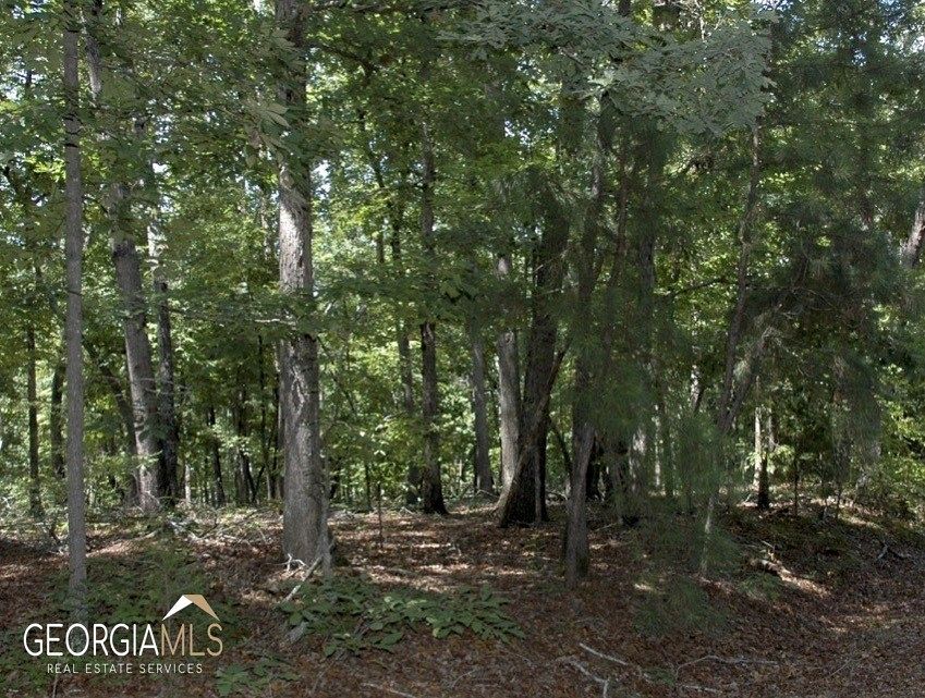 13.8 Acres of Land for Sale in Hartwell, Georgia