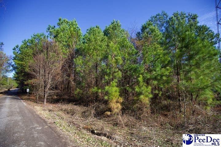7.1 Acres of Residential Land for Sale in Florence, South Carolina