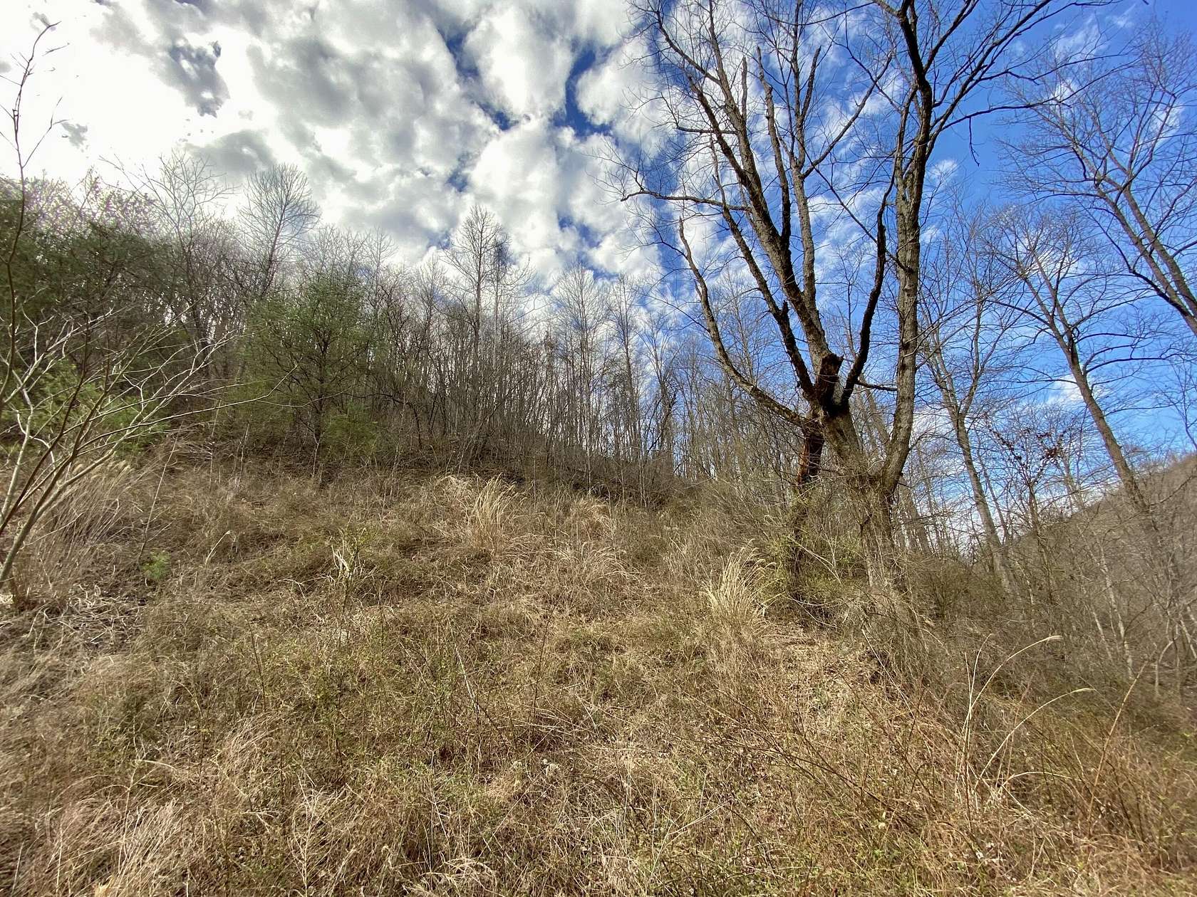 1 Acre of Land for Sale in Kite, Kentucky