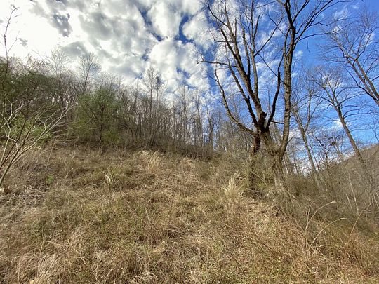 1 Acre of Land for Sale in Kite, Kentucky