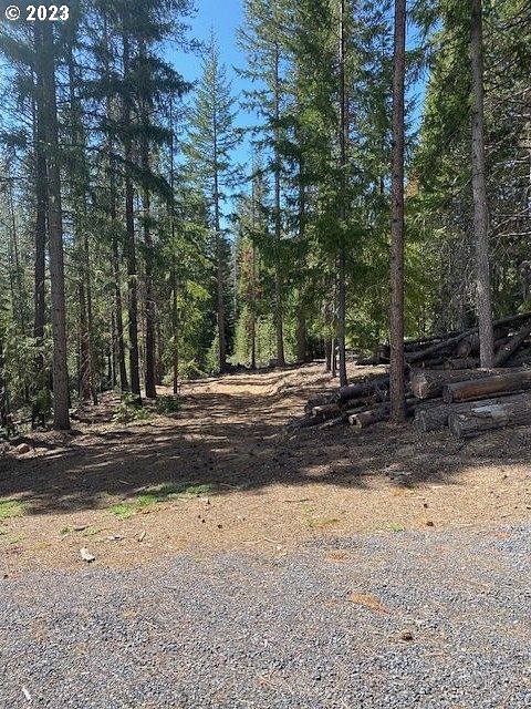 1.1 Acres of Residential Land for Sale in Crescent Lake, Oregon