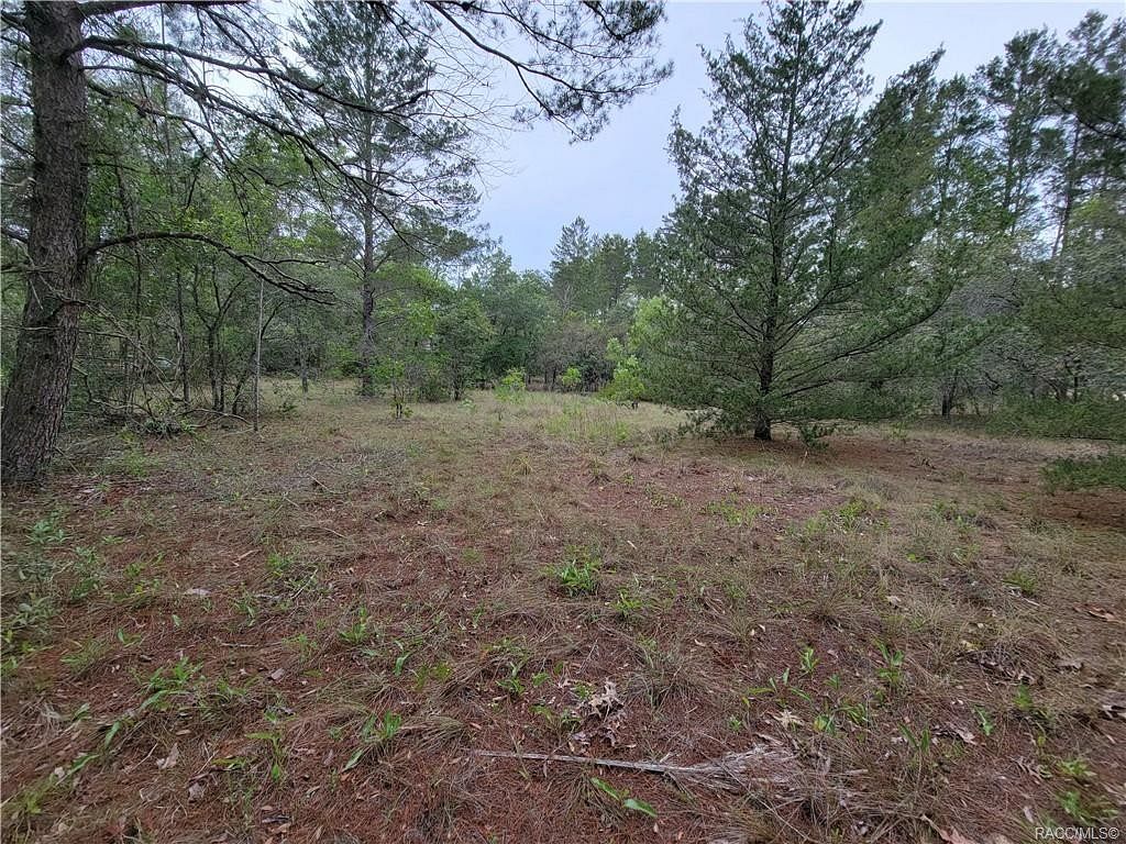 5.3 Acres of Land for Sale in Dunnellon, Florida