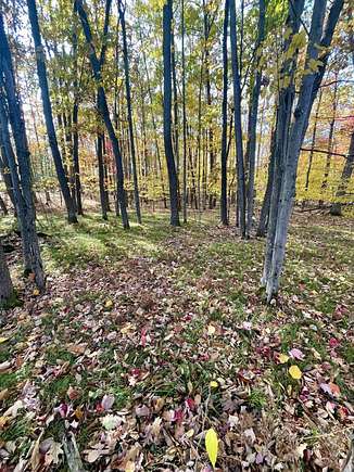 0.76 Acres of Land for Sale in Frederic, Michigan