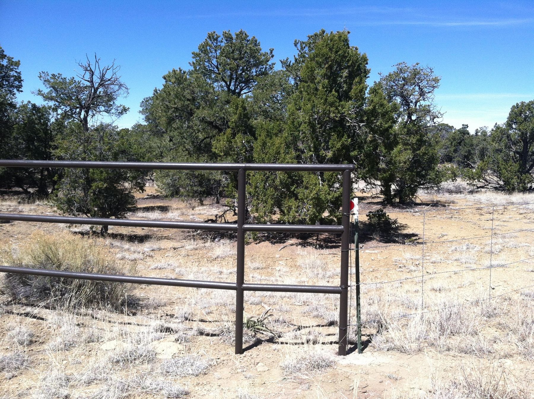 20 Acres of Land for Sale in Pie Town, New Mexico