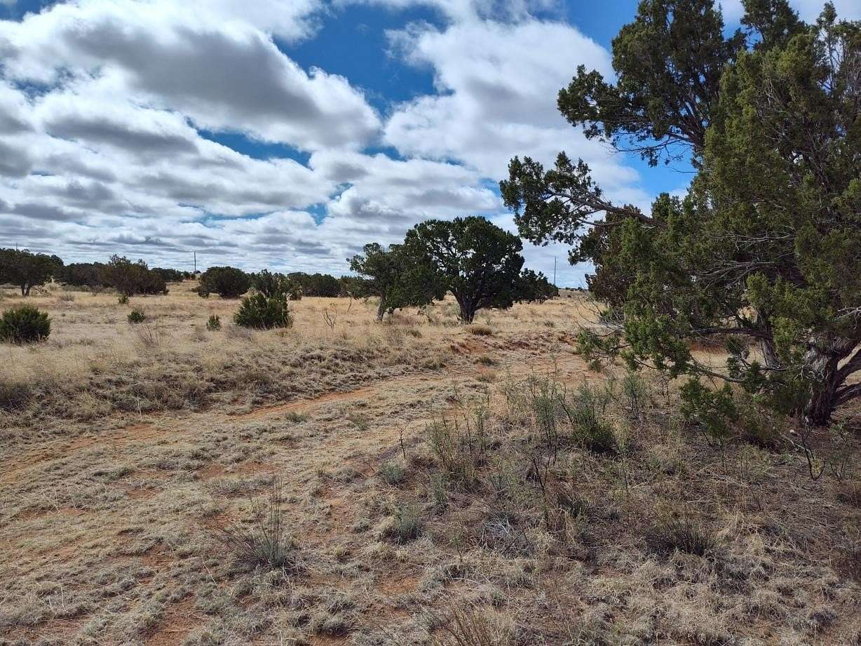 42.7 Acres of Recreational Land for Sale in Mountainair, New Mexico