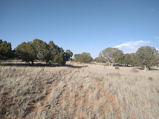 42.7 Acres of Recreational Land for Sale in Mountainair, New Mexico