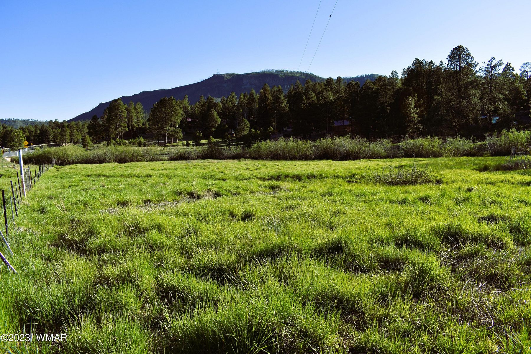 2.4 Acres of Land for Sale in Alpine, Arizona