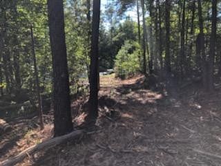 0.91 Acres of Residential Land for Sale in North Augusta, South Carolina