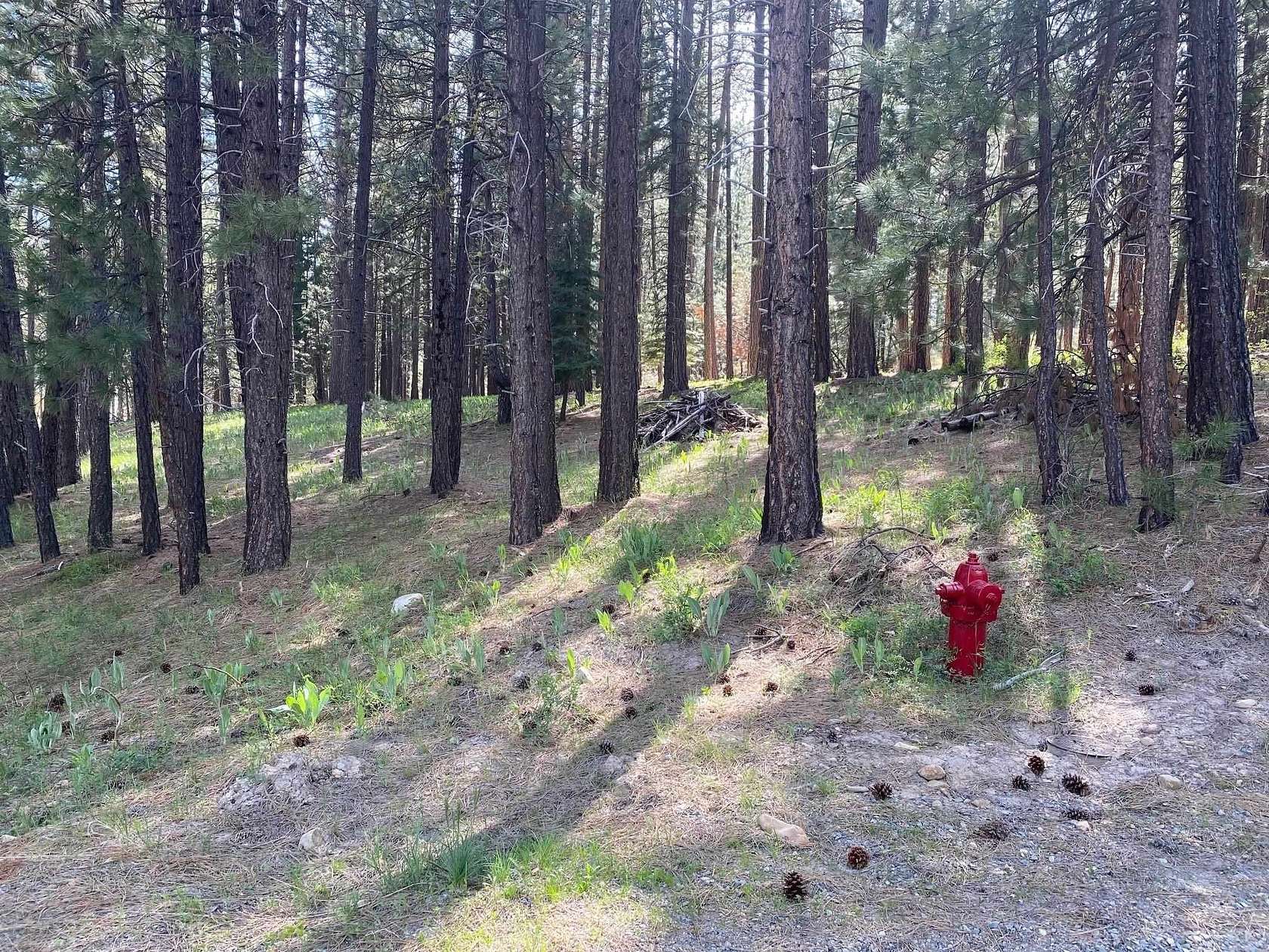 1 Acre of Residential Land for Sale in Graeagle, California