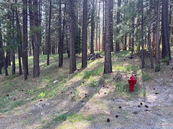 1 Acre of Residential Land for Sale in Graeagle, California