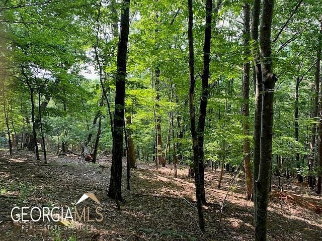 0.93 Acres of Residential Land for Sale in Big Canoe, Georgia