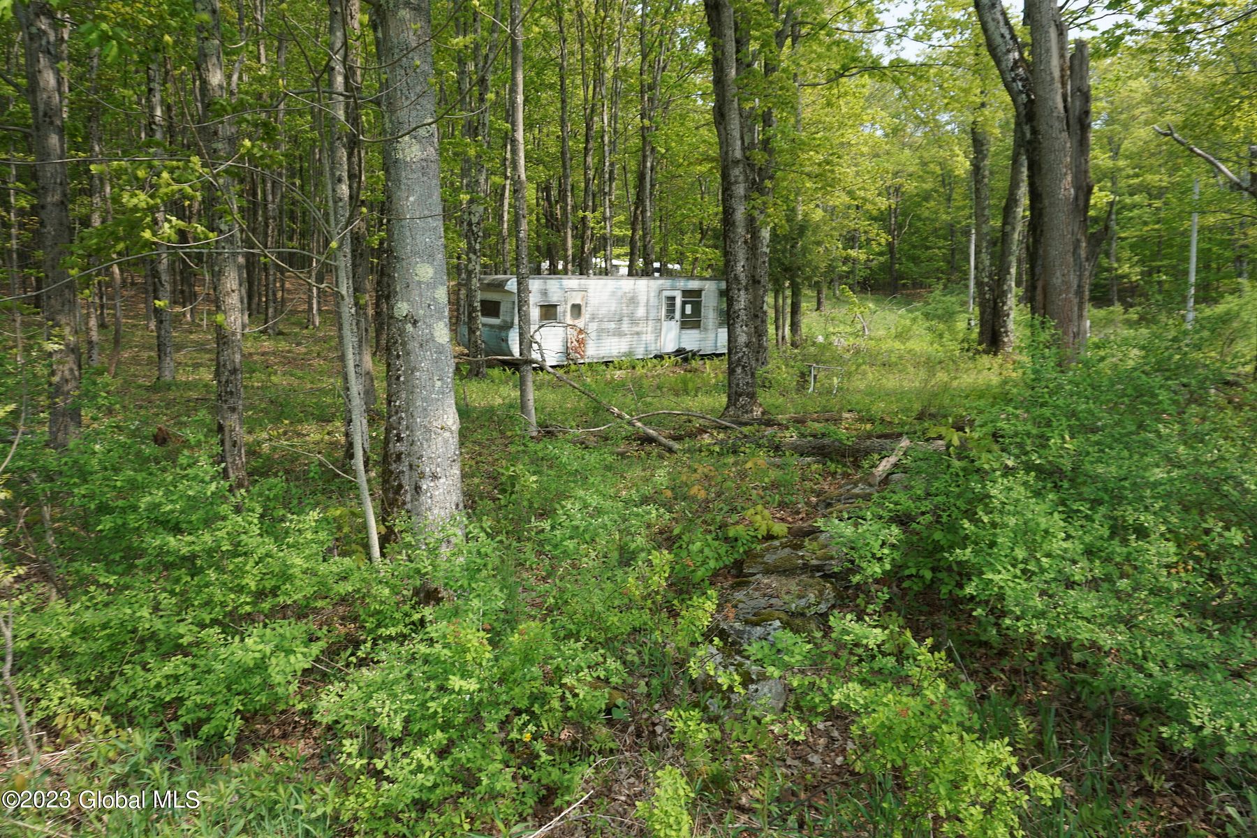 1 Acre of Land for Sale in Rensselaerville, New York