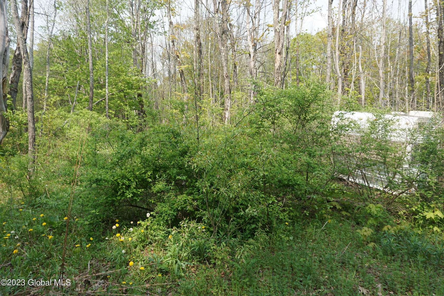 0.92 Acres of Land for Sale in Rensselaerville, New York