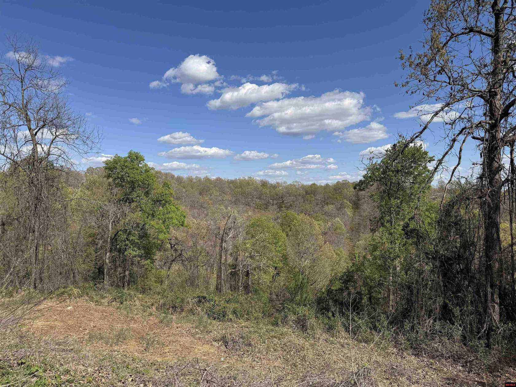 105 Acres of Recreational Land for Sale in Harriet, Arkansas