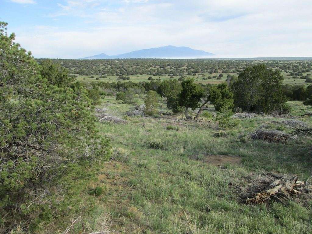 40 Acres of Agricultural Land for Sale in Walsenburg, Colorado