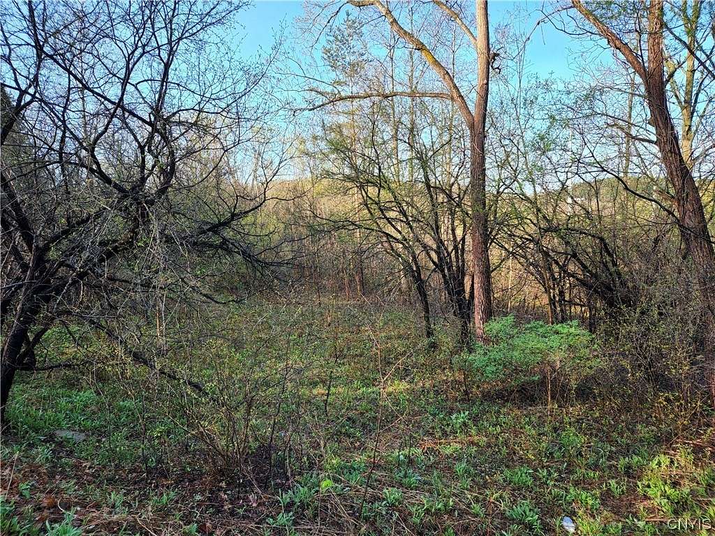 2.1 Acres of Residential Land for Sale in LaFayette, New York