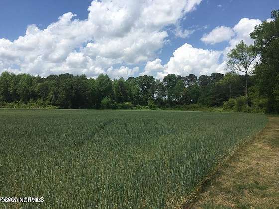 38 Acres of Agricultural Land for Sale in Kinston, North Carolina