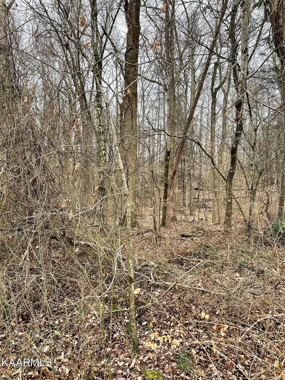 1.1 Acres of Land for Sale in Erwin, Tennessee