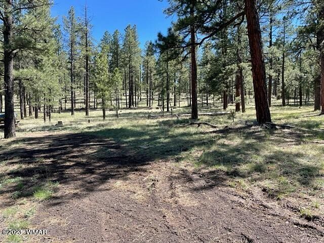 0.92 Acres of Residential Land for Sale in Greer, Arizona