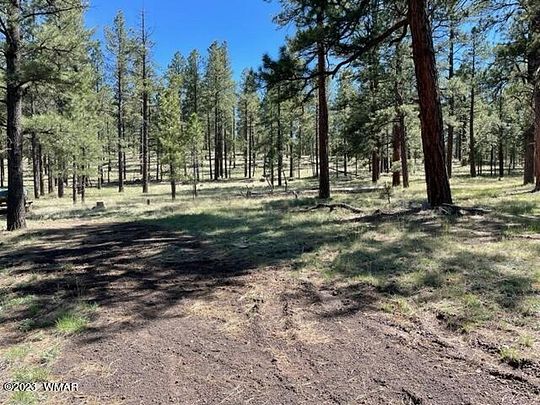 0.92 Acres of Residential Land for Sale in Greer, Arizona